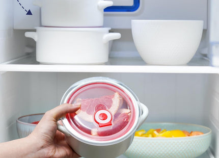NUTRIUPS Microwavable Ceramic Bowls with Handles & Lids – Set of 2