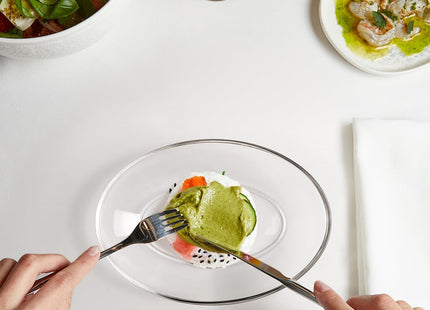 NUTRIUPS 2 Pack Small Tempered Glass Serving Plates – 7.7 x 5.5in Oval Dinner Plates
