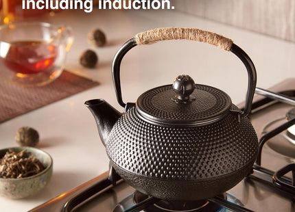 VonShef Cast Iron Teapot – 800ml Japanese Tetsubin with Mesh Infuser – Black